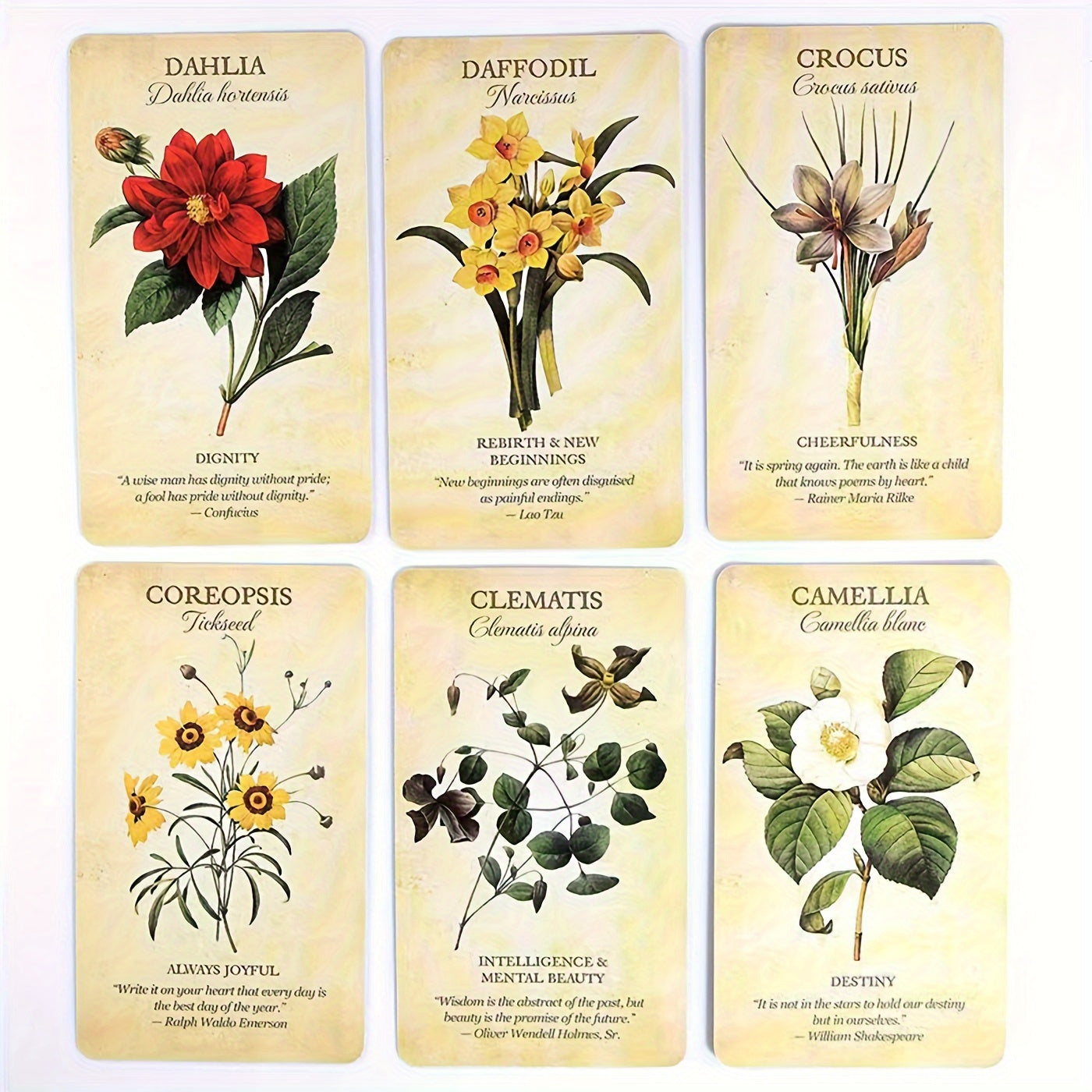 Enchanting, Botanical Enlightenment Oracle Cards